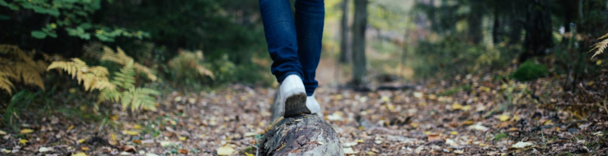 Unser immaterielles Erbe – was zählt im Leben unserer Kinder wirklich?