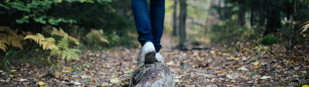 Unser immaterielles Erbe – was zählt im Leben unserer Kinder wirklich?